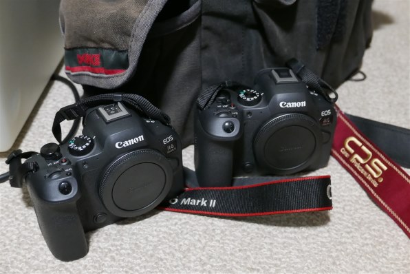 CANON EOS R6 Mark II ボディ 価格比較 - 価格.com