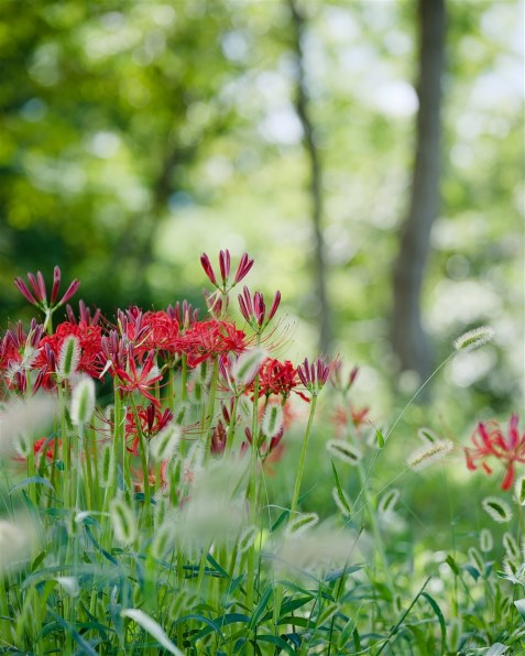 富士フイルム フジノンレンズ XF50-140mmF2.8 R LM OIS WR 価格比較